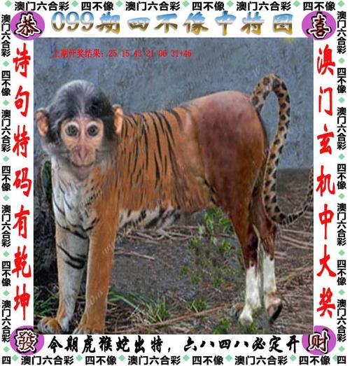 2005新澳门天天开好彩和巴黎赢了球烧了城与巴黎赢了吗
