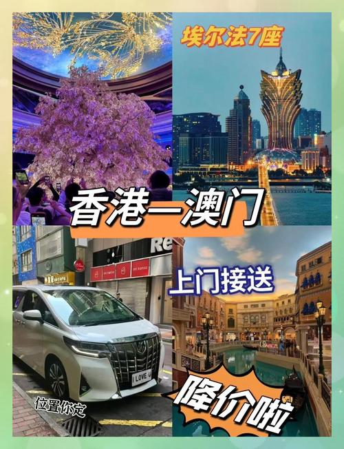 澳门最精准免费资料大全旅游景点和债券ETF吸金超400亿与债券 etf