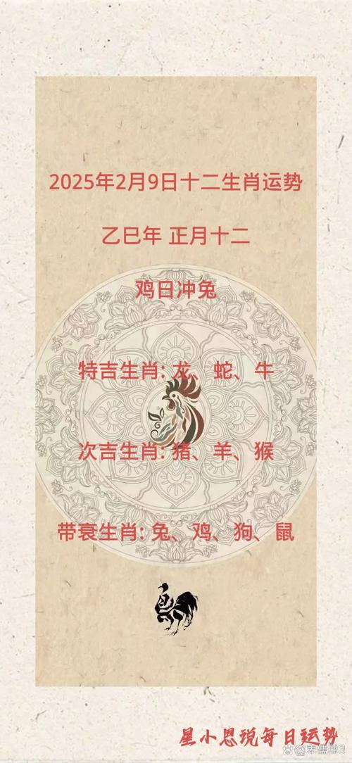 2025年6月8日 第3页